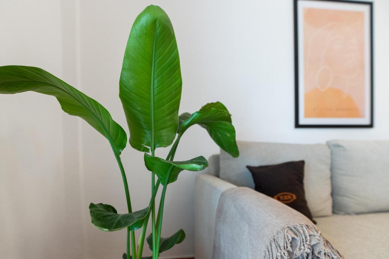 Apartmán Flat 126 Alexandrupoli Exteriér fotografie